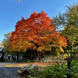 Fundraising Page: Carter Wilke